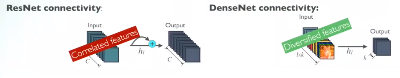 More Diversified Features in DenseNet