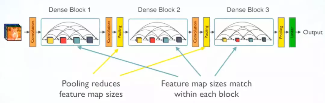 Multiple Dense Blocks