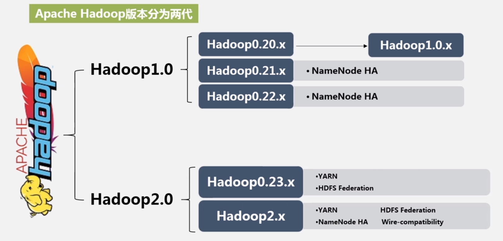 Apache Hadoop 版本分为两代