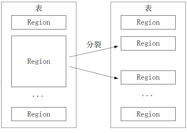 （右）一个 Region 会分裂成多个新的 Region